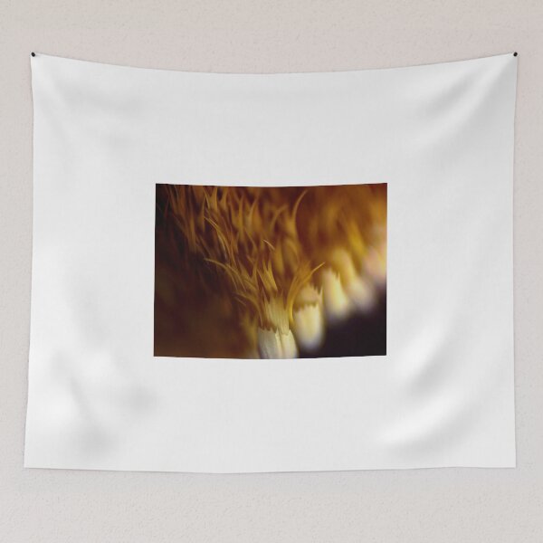 Item preview, Moth Wing Scales 2 designed and sold by Microscope-Art.