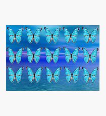 Blue Butterflies Photographic Print