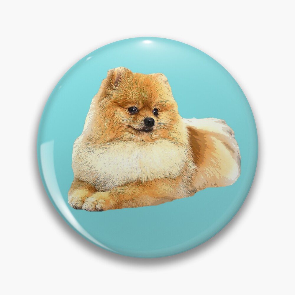 Pin on Pomeranians