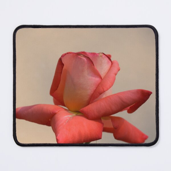 Item preview, open rose designed and sold by Mariel Angel GJ.