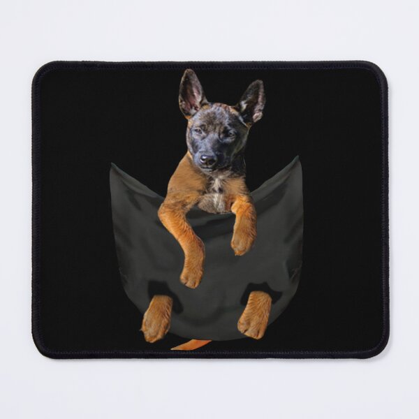 Item preview, Best Belgian Malinois dog in pocket for malinois owner designed and sold by Unique-Tees.