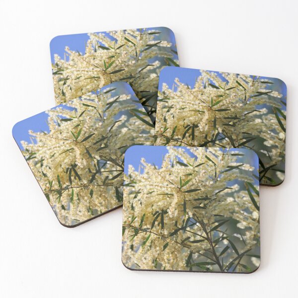 Item preview, Australian Wattle Flower Tree Nature Photography designed and sold by ArticLotusShop.