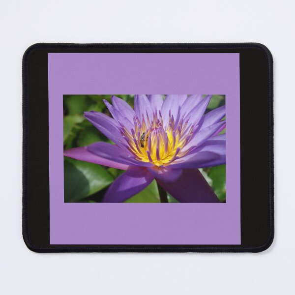 Item preview, TROPICAL BLOOM ARTWORK designed and sold by starfishstuff.