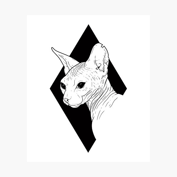 Sphynx Photographic Print