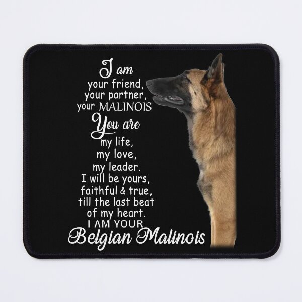Item preview, I am your friend your partner Belgian Malinois dog designed and sold by Unique-Tees.