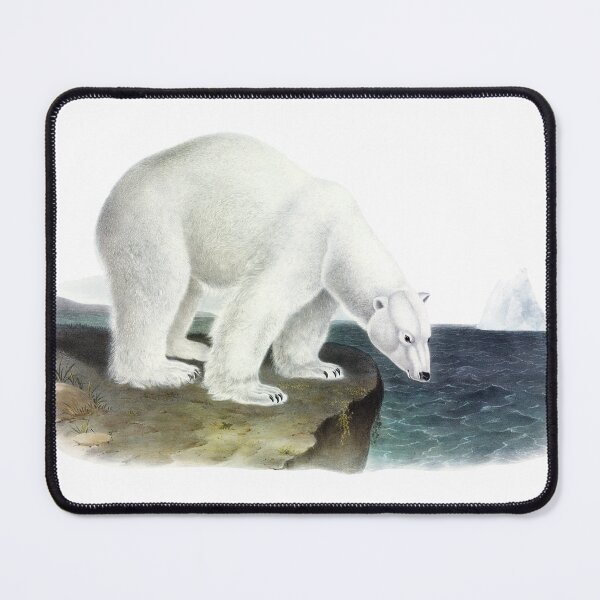 Item preview, Vintage Polar Bear Drinking From Water designed and sold by semioddfinds.