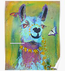 Llama for Hannah Poster