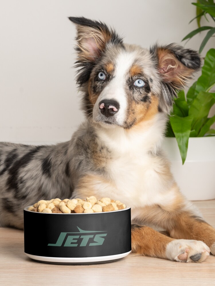 New york jets | Pet Bowl