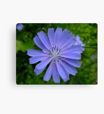 Jagged Edges Canvas Print