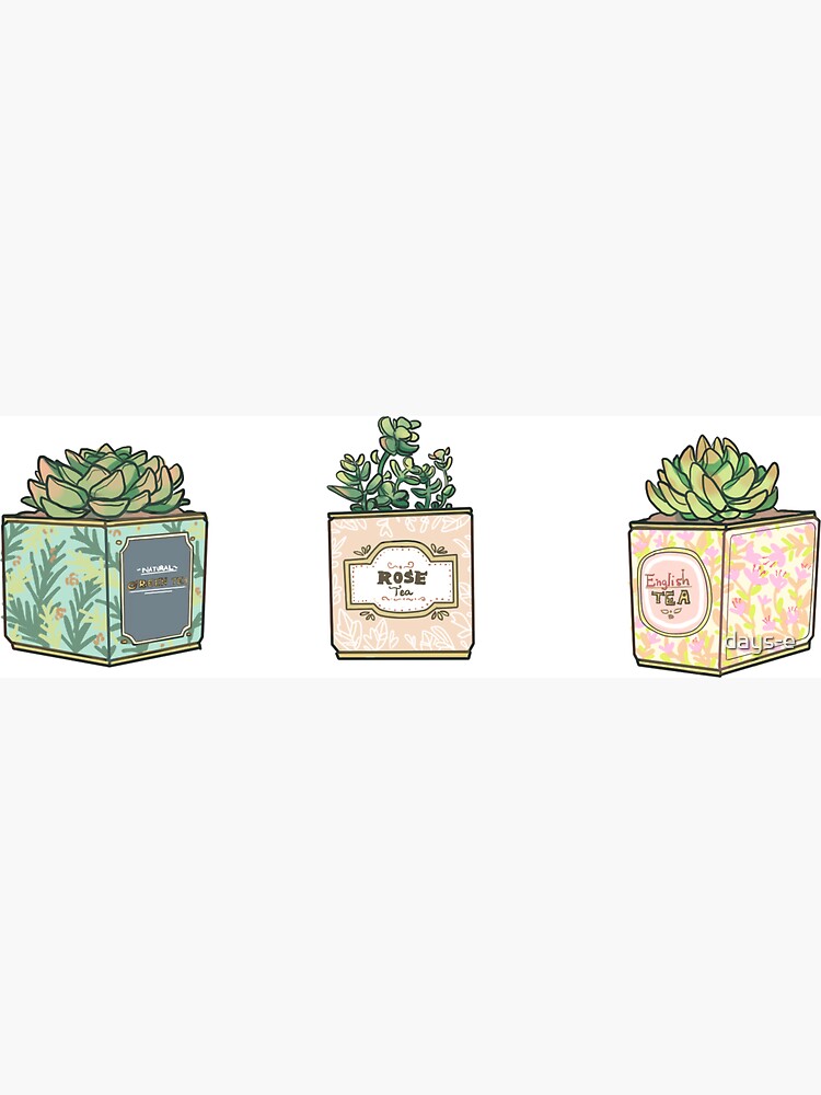 Succulents & Tea tins by days-e