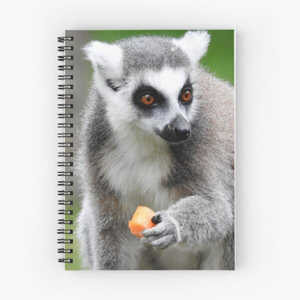 Item preview, Lemur Lunch designed and sold by wenniewombat.