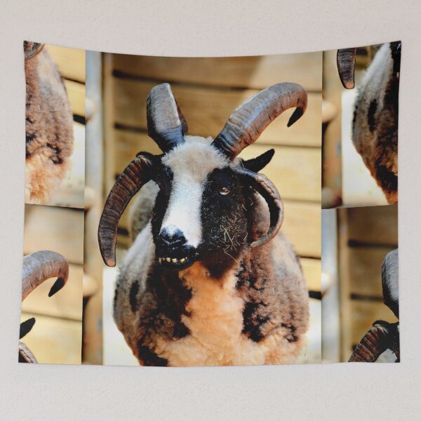 Item preview, Sheep  designed and sold by Savannah Gibbs.
