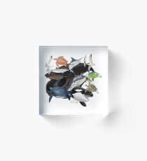 Biodiversity Acrylic Block