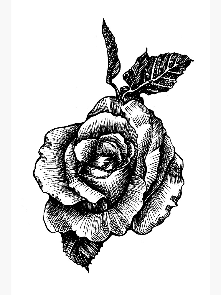 tatouage noir et blanc rose dessin Poster