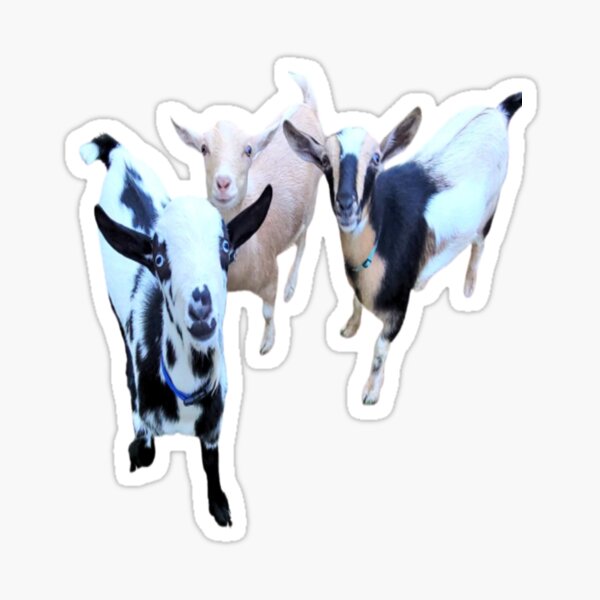 Item preview, Cute Goats designed and sold by snickles1977.