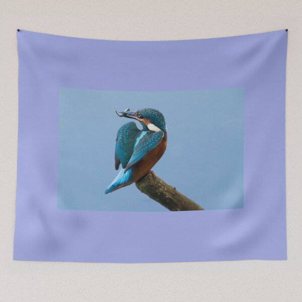 Item preview, Kingfisher designed and sold by FXST.