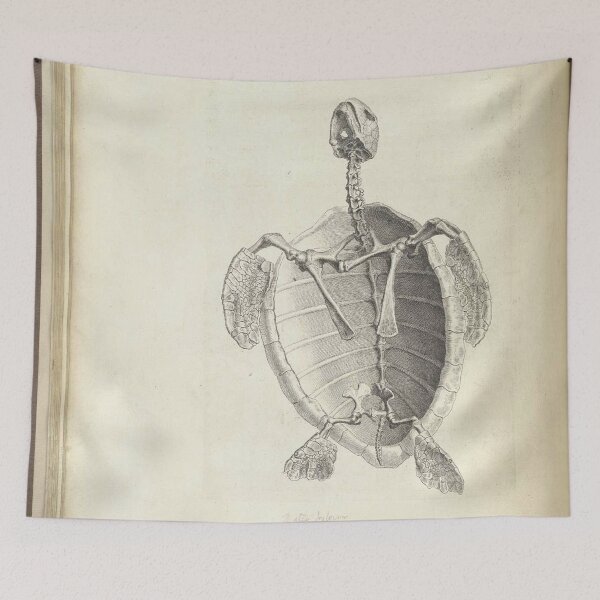 Item preview, Water Tortoise designed and sold by Empowerment.