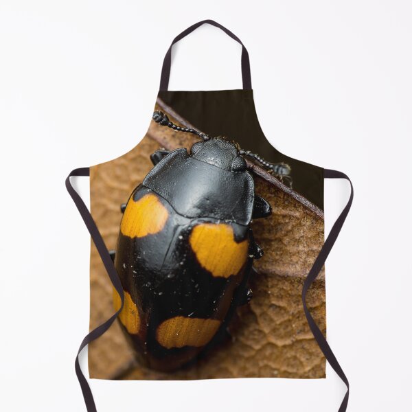 Item preview, Unique and organic photo of a beautiful fungus beetle designed and sold by AvonPerception.