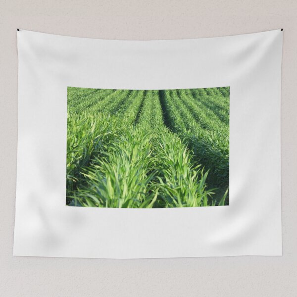 Item preview, summer field designed and sold by scottnicoll.