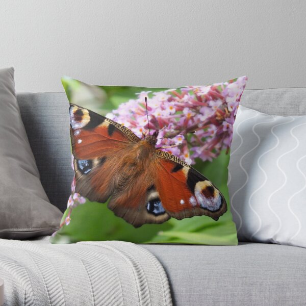 Peacock Butterfly Throw Pillow