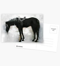 majestic wild ass Postcards