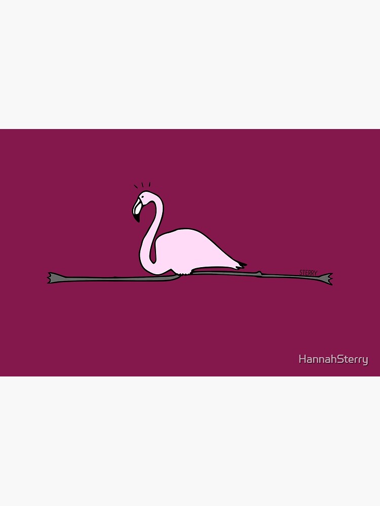 Flamingo Gymnastics by HannahSterry