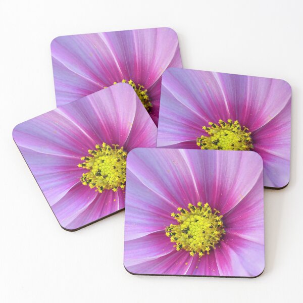 Item preview, Pink Cosmos  designed and sold by Frankie Cat Photography.