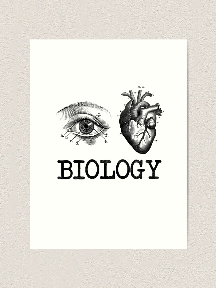 Draw It to Know It - Medical & Biological Sciences on Tumblr