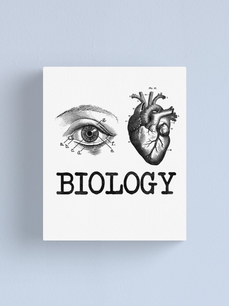 Draw It to Know It - Medical & Biological Sciences on Tumblr