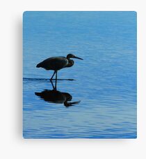 Blue Hunter Canvas Print