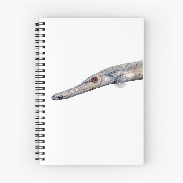Item preview, Trumpet fish (Aulostomus maculatus) designed and sold by chloeyzoard.