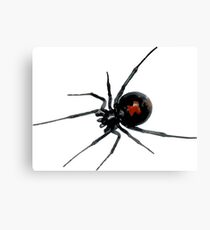 Black Widow Canvas Print