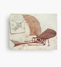 Da Vinci's flying machine Metal Print
