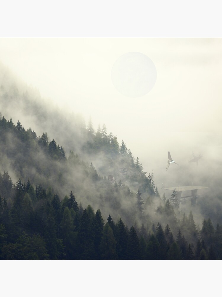 Forest Moon by andywynn