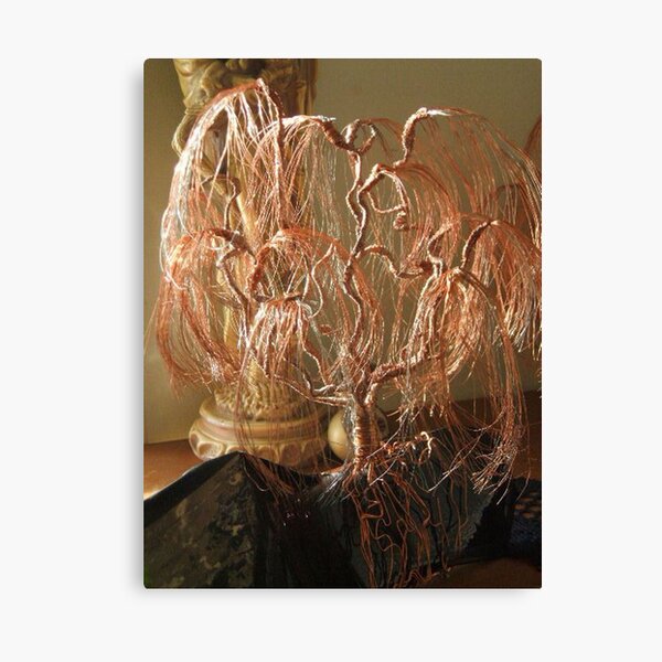 Weeping Willow on Obsidian Canvas Print