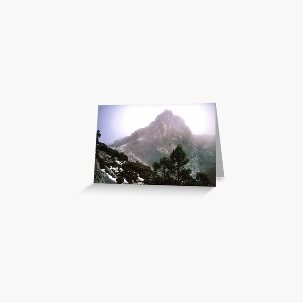 THE LIONS HEAD, FRENCHMANS CAP, TASMANIA. Greeting Card