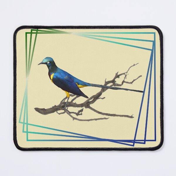 Item preview, Royal Starling - Bird in Kenya / Africa - Ornithology designed and sold by TShirtsundMehr.