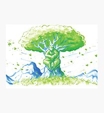 Mystic Meditation Photographic Print