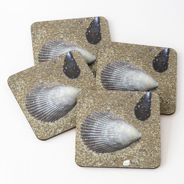 Item preview, shell designed and sold by KathleenDawson.
