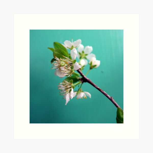 Item preview, Still Life with Spring designed and sold by Kitsmumma.