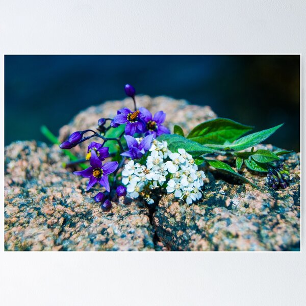 Item preview, Mixed Flowers designed and sold by Milo4u.