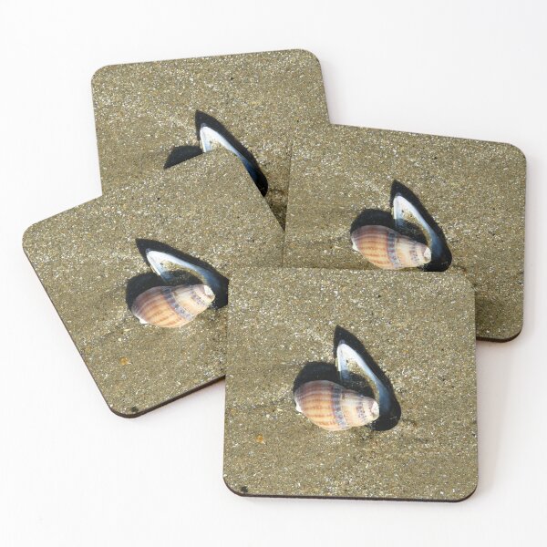 Item preview, shell designed and sold by KathleenDawson.