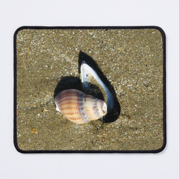 Item preview, shell designed and sold by KathleenDawson.