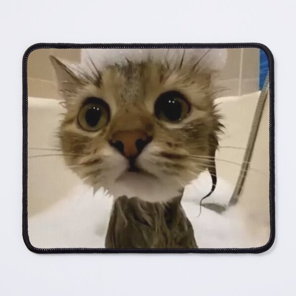 Item preview, Shower Cat  designed and sold by jewellward.