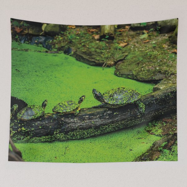 Item preview, Terrapin line designed and sold by Arc1.