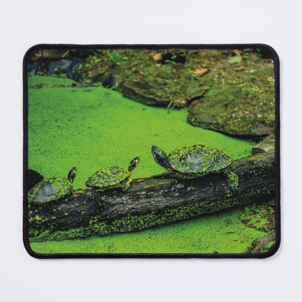 Item preview, Terrapin line designed and sold by Arc1.