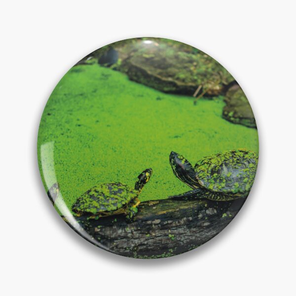 Item preview, Terrapin line designed and sold by Arc1.