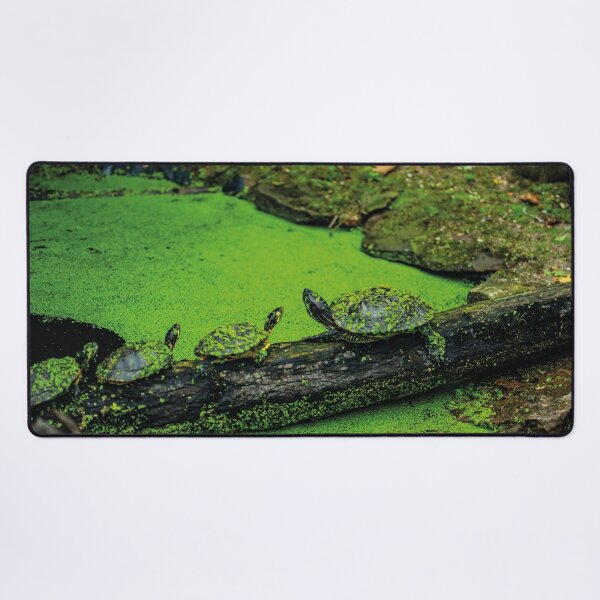 Item preview, Terrapin line designed and sold by Arc1.
