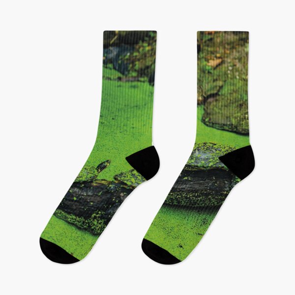 Item preview, Terrapin line designed and sold by Arc1.