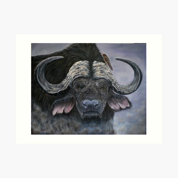 "Danger in the Dust" - Cape Buffalo oil painting Art Print
